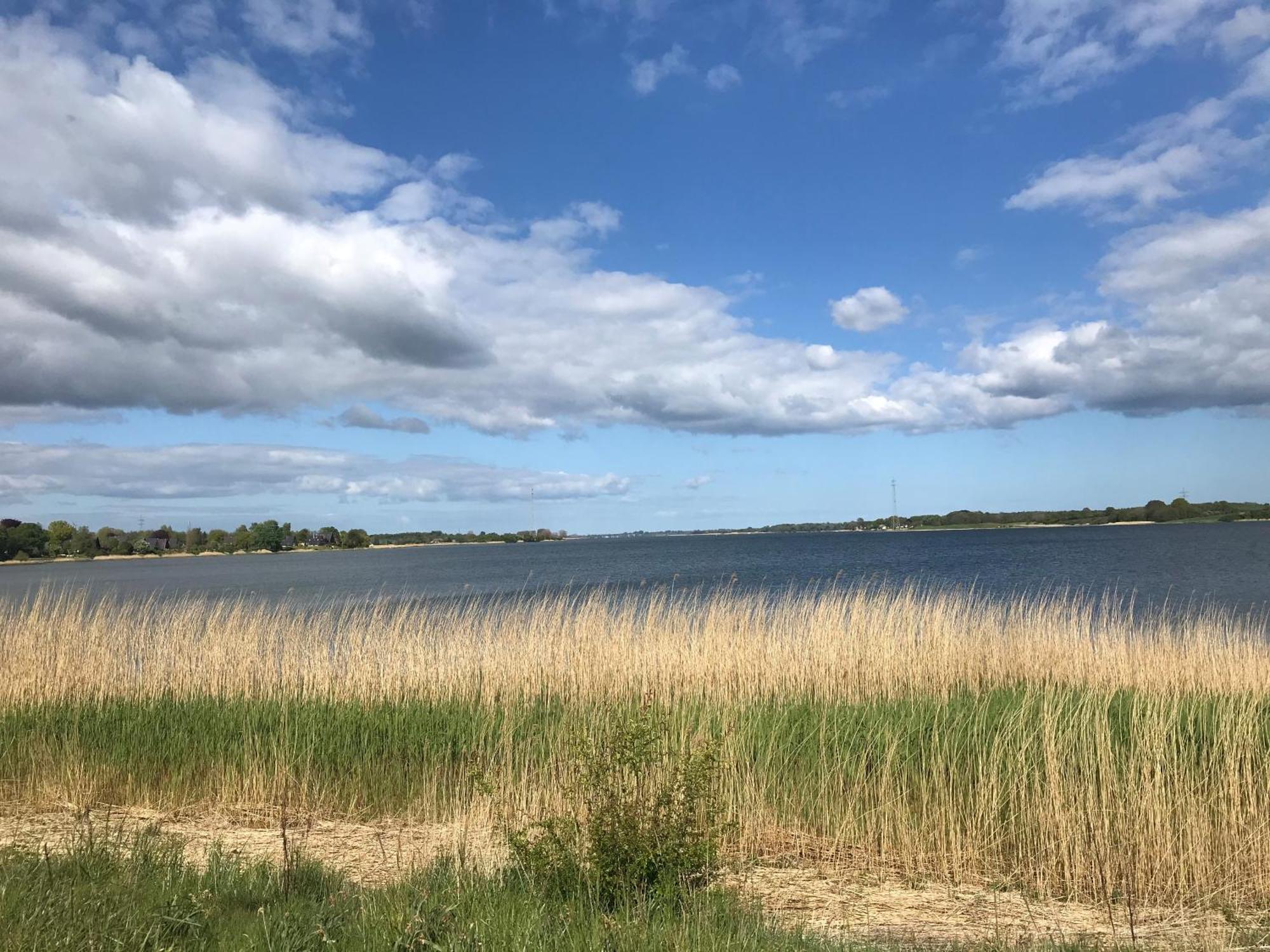 Strandgut Wackerballig Gelting Buitenkant foto
